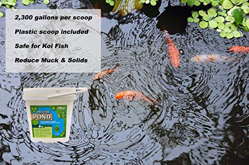 Pond Cleaner & Clarifier - Outdoor Pond Treatment to Remove Muck & Sludge with Natural Pond Bacteria for Clear Water in Outdoor Ponds, Safe for Live Koi Fish & Water Plants - 8lbs, Treats 760k Gallons