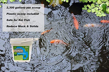 Pond Cleaner & Clarifier - Outdoor Pond Treatment to Remove Muck & Sludge with Natural Pond Bacteria for Clear Water in Outdoor Ponds, Safe for Live Koi Fish & Water Plants - 8lbs, Treats 760k Gallons