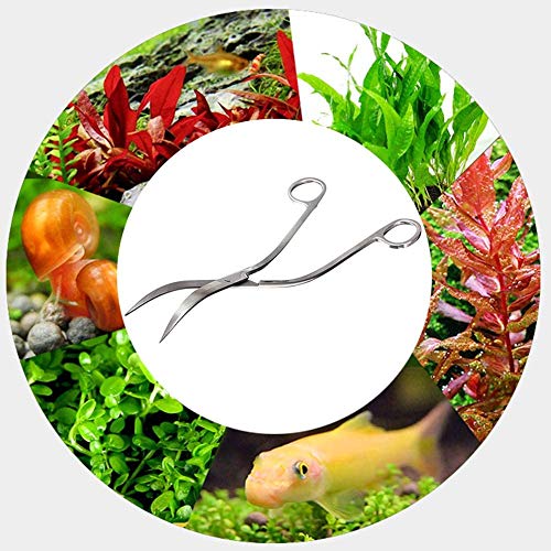 Aquarium Scissors, Stainless Steel Mirror Wave Scissors, Professional Aquarium Plant Scissors, Ambidextrous, Silver