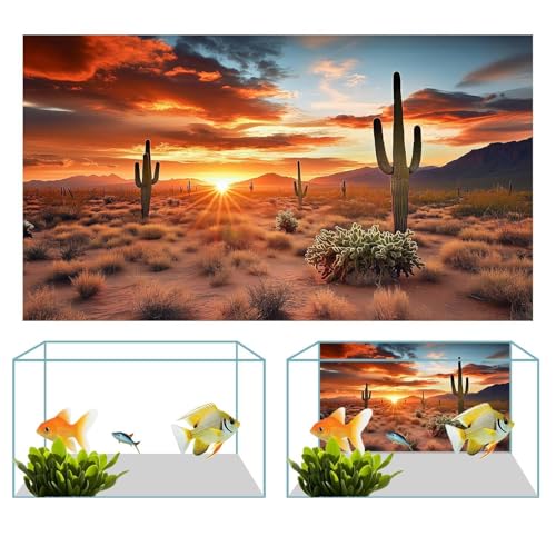30X12IN 3 Pack Aquarium Terrarium Fish Tank Background, Reptile Habitat Bearded Dragon Tank Background, Polyester Black Rock Sun and Desert Cactus Terrarium Decor Wallpaper - size: 30X12in/75X30cm