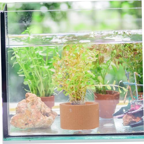 12Pcs Ceramic Aquarium Plant Holders Fish Tank Weights for Water Plants Fixing Rings Underwater Shelter for Small Fish and Shrimp