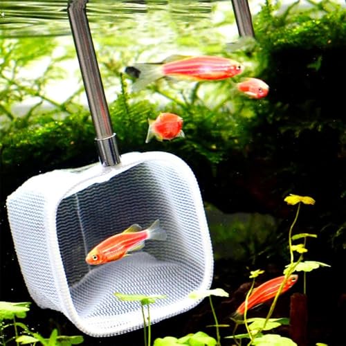 Green/Red Square Round Metal Aquarium Fish Net Mini Size Extendable Telescopic Fish Shrimp Landing Net Aquarium Fish Tank Tool