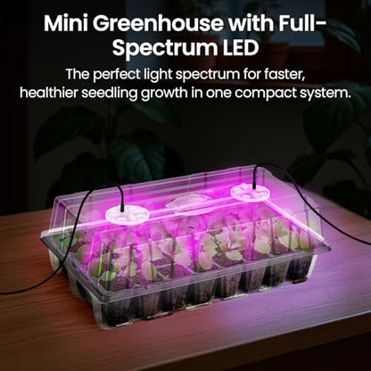 2-Pack Seed Starter Tray with Plant Light, Elevated Seedling Starter Trays Kits with Adjustable Humidity Domes and Clear Cell Tray, 12 Full Spectrum Led Lamp Beads for Plants Indoor-Clear