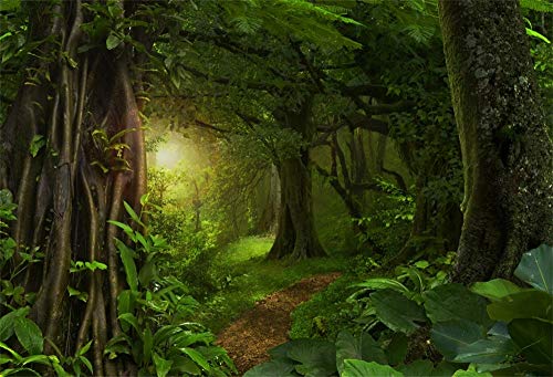 5x3ft Fairytale Rainforest Photo Backdrop Kids Birthday Party Events Decor Evergreen Forest Jungle Natural Scenery Photography Background Wallpaper Jungle Backdrop for Party Photo Studio Props - size: 5x3ft