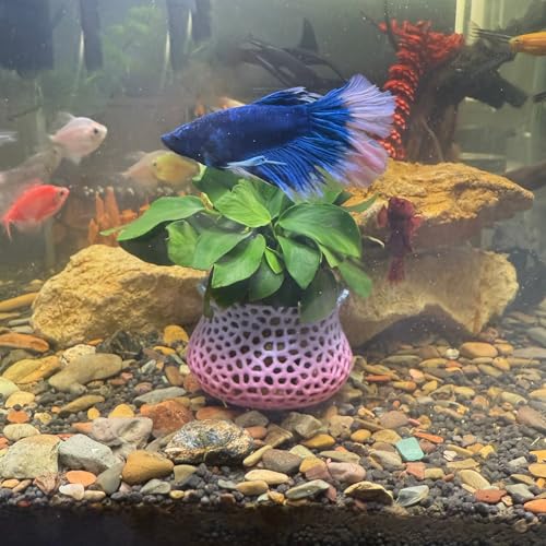 Aquarium Submerged Plant Pot, Underwater Plant Anchor, Fish Tank Aquatic Plante, Aquarium Landscaping Decoration, Decorative Accessories - 2-Piece Set (Color)