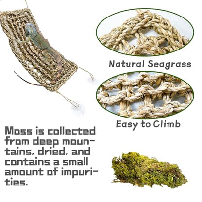 15Pcs Bearded Dragon Tank Accessories, Reptile Plants, Reptile Hammock, Lizard Habitat Decor with Terrarium Plants for Geckos Snakes Chameleons