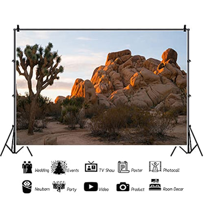 9x6ft Sunset Joshua Tree National Park Photography Background Rock Mountains Arid Desert Cactus Backdrop Nature Scenery Landscape Outdoor Adventure Travel Theme Photo Polyester Studio Props - size: 9x6ft-P