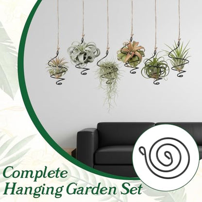 6 Pack Air Plants Live Holders Hanging Air Plant Holder Adjustable Rust-Resistant Iron Rings With Jute Ropes Soilless Stand Display Container For Tillandsia Succulents Home Office Decor Black