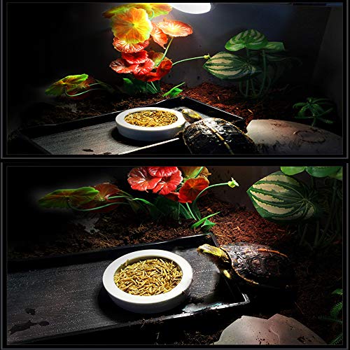 2 Pack Reptile Food Bowl, Mini Ceramic Water Feeder Bowl, Reptile Worm Feeding Dish for Lizard Turtle Bearded Dragon Anoles Crested Gecko Hermit Crab Leopard Gecko Chameleon Corn Snake - size: 1 Pc 2.7 '' x 0.8 ''