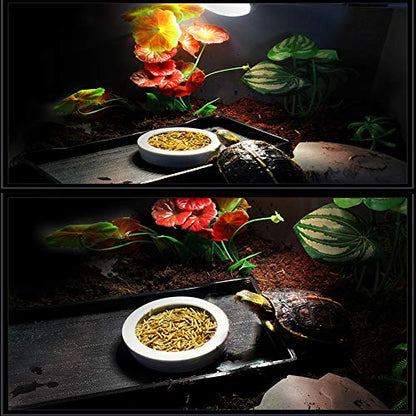 2 Pack Reptile Food Bowl, Mini Ceramic Water Feeder Bowl, Reptile Worm Feeding Dish for Lizard Turtle Bearded Dragon Anoles Crested Gecko Hermit Crab Leopard Gecko Chameleon Corn Snake - size: 1 Pc 2.7 '' x 0.8 ''