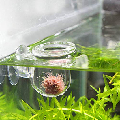 Ailindany Aquarium Glass Feeding Cone Cup Plant Cup Brine Shrimp Live Red Worm Fish Feeder for Aquariums with Suction