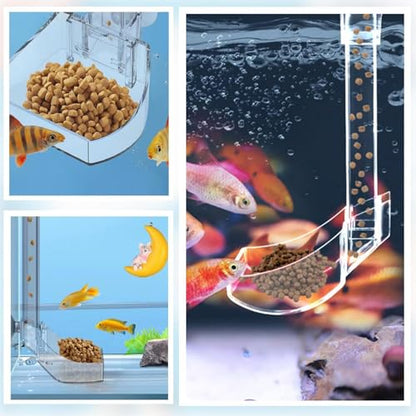 Aquatic Fish Feeding Disk - Glass Shrimp Feeder Tube Set, Clear Suction Cup Feeder Tray, Tank Feeding Station | Aquarium Care Tool for Pets | Easy Feed Solution for Shrimp Fish Snails