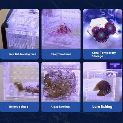 Acrylic Fish Breeding Box, Magnetic Fish Isolation Box Fish Separator for Aquarium Hatchery Incubator Tank for Baby Fishes Shrimp Clownfish Guppy (Medium, Reinforced Magnetic Model)