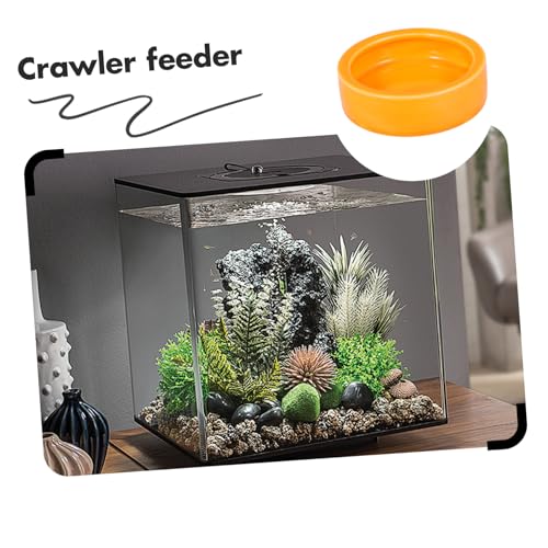 GALPADA Crawler Crawling Pet Feeding Bowl Escape Dish for Shrimp Fish and Reptiles Medium Orange for Aquariums and Decor