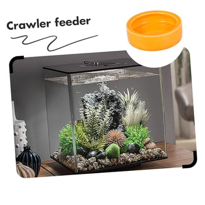 GALPADA Crawler Crawling Pet Feeding Bowl Escape Dish for Shrimp Fish and Reptiles Medium Orange for Aquariums and Decor