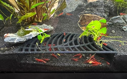 Shrimp Breeding Hide | Shrimp Cave | Shrimp Hide | Tunnel | Black