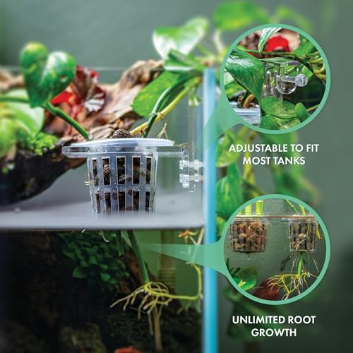 Upgraded Acrylic Adjustable Clear Aquarium Plant Holder, Premium Aquarium Planter, Sturdy Aquarium Pothos Holder for Optimal Plant Growth (Small)