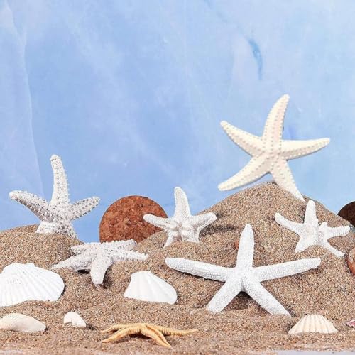 1Pc White Resin Ocean Beach Starfish Natural Seashell Starfish Ornaments for Wedding Decor Beach Theme Party Home DIY Craft Fish Tank Holiday Decoration, Vase Filler, Home and Kitchen