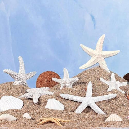 1Pc White Resin Ocean Beach Starfish Natural Seashell Starfish Ornaments for Wedding Decor Beach Theme Party Home DIY Craft Fish Tank Holiday Decoration, Vase Filler, Home and Kitchen
