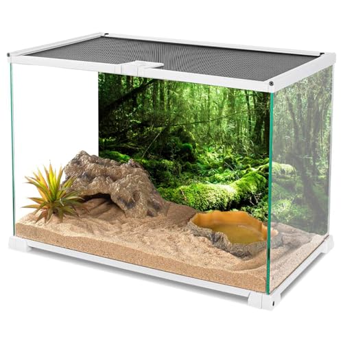 AWERT Vinyl 36x24 inches Tropical Terrarium Background Rainforest Aquarium Background Green Tree Reptile Habitat Background