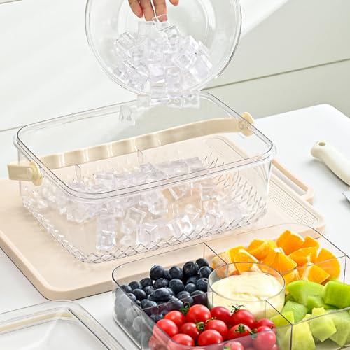 Fruit Ice Divided Serving Tray with Lid, Ice Underneath and Handle, Chilled Serving Platter for Parties, Shrimp Cocktail Serving Dish, Chilled Veggie Tray for Keep Food Cold Outside Party