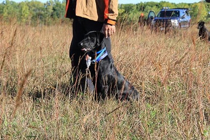 Ultimate Greenwing Teal Dog Training Dummy w/Rope – Retriever Bumper for Fetch, Scent & Blind Drills, Green-Winged Teal Duck