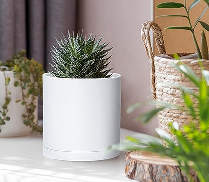 D'vine Dev 6 Pack 4 Inch Modern Plastic Plant Pots, Small Garden Planters for Plant with Drainage Holes and Saucers, White Color, 74-Z-E-3 - size: 4"