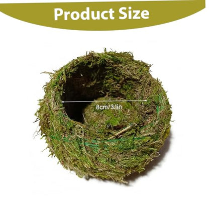 Kokedama Creative Moss Ball Planter 8cm Bowl Planter for Orchids, Bonsai & Air Plants Decorative Indoor Home Garden Decor