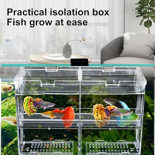 Aquarium Fish Breeding Box, Acrylic Transparent Multi-Grid Design Fish Isolation Box Hatchery-Incubator for Newborn Fry Shrimp Clownfish Aggressive Fish Injured Transparent M