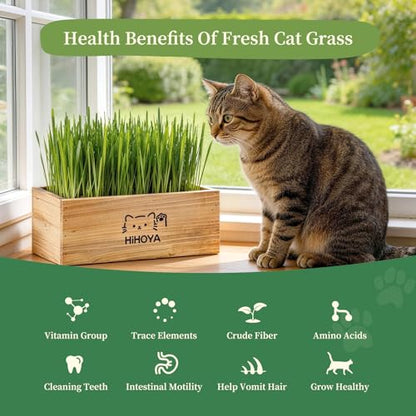 Cat Grass Kit for Indoor Cats - 5 Harvests Cat grass Growing Kit with Wooden Planter, 5 Seed Packets, 6 Soil Disks, Spray Bottle, Tools & Scissors - Natural Hairball Control for Nipping & Nibbling