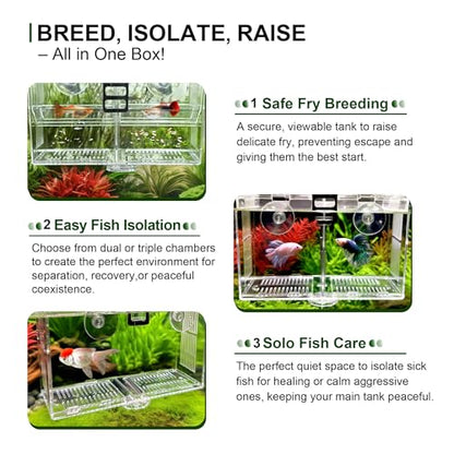 Dual-Chamber Aquarium Fish Breeder & Isolation Box, Transparent Hatching Incubator Tank with Suction Cups & Hook, Nursery for Livebearer Guppy Fry Breeding and Betta Fish, Shrimp Quarantine - size: Dual-Chamber (6.88*3.62*4.33 IN)