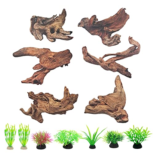 Natural Driftwood Decor for Aquarium Decorations Reptile Tank Accessories, Assorted Wood Branches Decorations on Reptile Fish Tank 2-10" 2 Pcs/4 Pcs/ 5 Pcs/ 6 Pcs (Pack of 6 (2 to 4 Inch)) - color: Pack of 6 (2 to 4 Inch)
