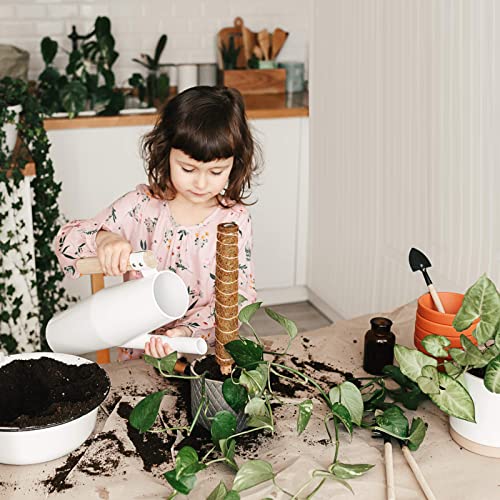 6 Pcs Moss Pole Extending to 68 Inches for Plants Monstera, Plant Support Stakes for Indoor Climbing Plants Grow Upwards, with 65ft Twist Ties, 13ft Jute Rope, 6.5ft Hook-and-Loop Strip - size: 6 Packs