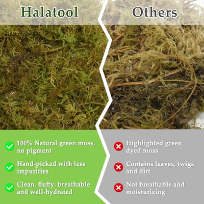 9OZ Natural Sphagnum Moss for Reptiles- 14QT Green Moss for Terrarium Plants Long Fiber Reptile Moss for Leopard Gecko Snake Hamsters Tortoises Frogs Lizards Salamanders