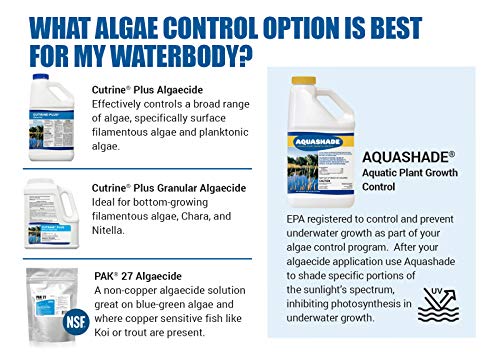 Aquashade Blue Pond Dye - 1 Gallon EPA-Approved Sunlight Blocker for Algae - Weed Suppression - Safe for Fish, Livestock and Swimming - Eco-Friendly Liquid Treatment for Water