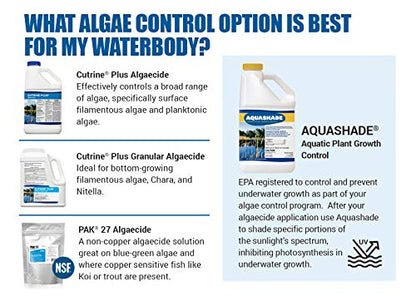 Aquashade Blue Pond Dye - 1 Gallon EPA-Approved Sunlight Blocker for Algae - Weed Suppression - Safe for Fish, Livestock and Swimming - Eco-Friendly Liquid Treatment for Water