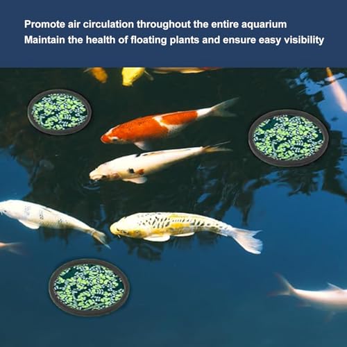 Aquarium Feeding Ring Set, 5 Sizes, EVA Foam, Prevents Food, Promotes Water Circulation, Ideal for Fish, Turtles, Plants (10pcs Black)