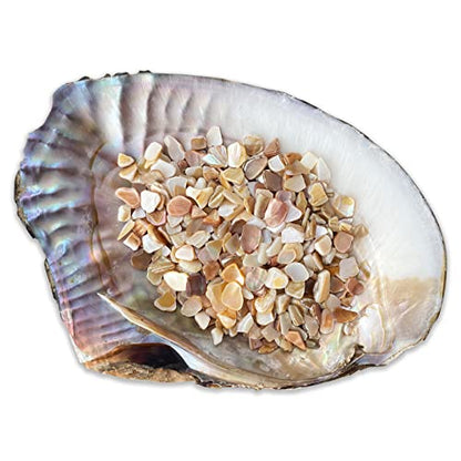 Yew & Tulip Natural Crushed Shells Chips, 32 oz (2 lb) Irregular Mother of Pearl Mosaic Fragments for Crafts, Home Décor, Vase Filler, Wedding, Fish Tank, Wedding, DIY etc. (32 oz (2 lb), Warm)