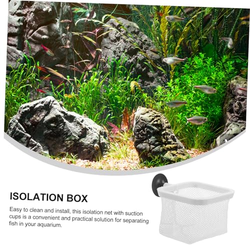 BESPORTBLE Fish Tank Isolation Box with Cups Versatile Aquarium Breeder Net for Juvenile Fish Mesh Design Observation Fits Various Tank
