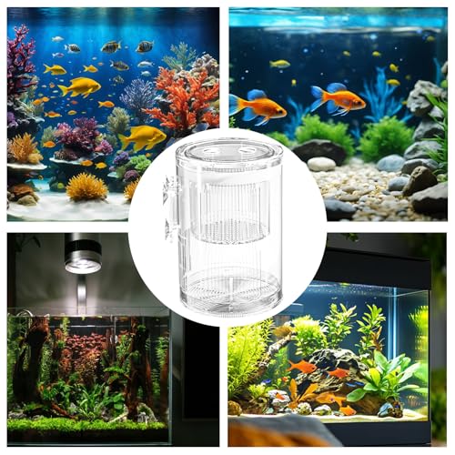 Breeder Box for Fish Tank – Mini Aquarium Isolation Container, Clear Acrylic Hatchery with Suction Mount, Acclimation and Observation Tool | Ideal Breeding Fry, Small Fish, Shrimp, Betta, Tropical