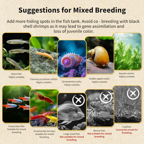 10+ Mixed Neocaridina Shrimp Assortment - Cherry, Fire Red, Blue Velvet & More |Live Freshwater Shrimp for Aquariums[10/20/30 Packs] (10)
