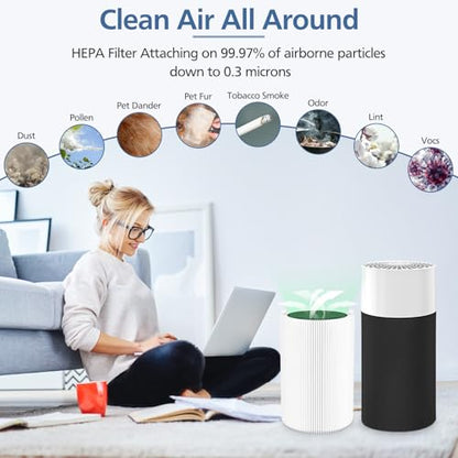 Blue Pure 411 Replacement Filters Compatible with Blueair Blue Pure 411 Genuine, 411+, 411 Auto and MINI Air Purifier, Include 2 Particle and 2 Activated Carbon