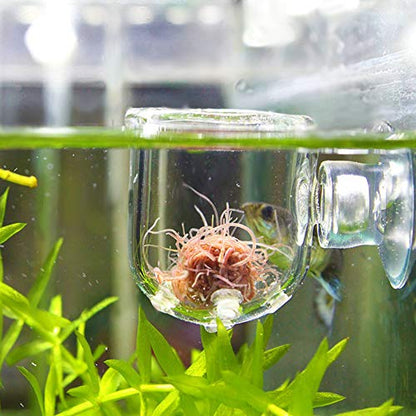Aquarium Feeder, Transparent Suction Cup Fishes Feeding Cup Food Container for Feeding Shrimp Fish(Glass Hole Cup)