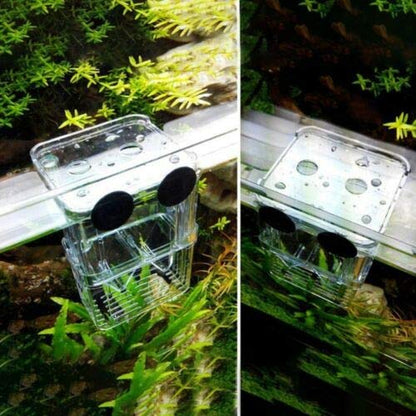 Aquarium Fish Breeder Box for Hatchery, Isolator, Injured Fish, Shrimp Clownfish (BX-007) - size: BX-007