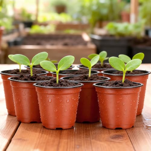 KINGLAKE 100 Pcs 4" Plastic Plants Nursery Pot/Pots Seedlings Flower Plant Container Seed Starting Pots,4 Inch,Red - color: Red, size: 4 Inch