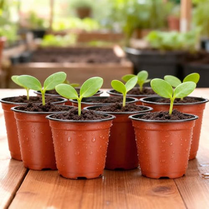 KINGLAKE 100 Pcs 4" Plastic Plants Nursery Pot/Pots Seedlings Flower Plant Container Seed Starting Pots,4 Inch,Red - color: Red, size: 4 Inch