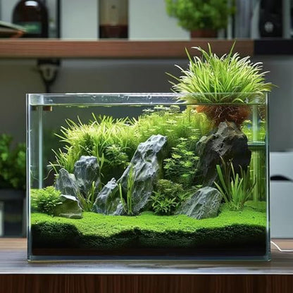 3 Gallon Glass Fish Tank, Easy to Maintain Small Aquarium for Betta/Goldfish/Snails/Shrimp and Aquatic Planting. - size: 3 Gallon