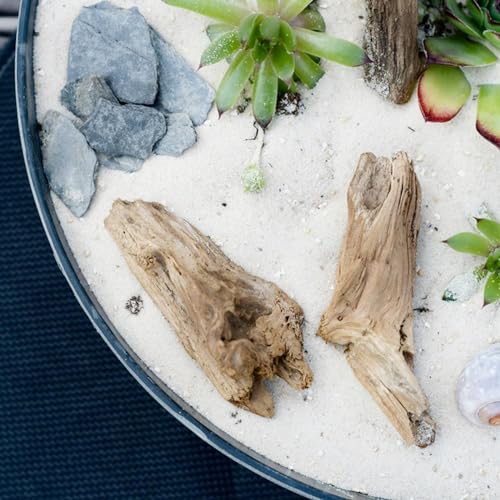 10 lbs Aquarium White Sand, 0.8-2mm Coarse Sand. Small Gravel for Fish Tank, Succulent Plants Potted, Paintings, Fire Pits, Candle, Vase Filler and Crafts - color: White, size: 10 LB