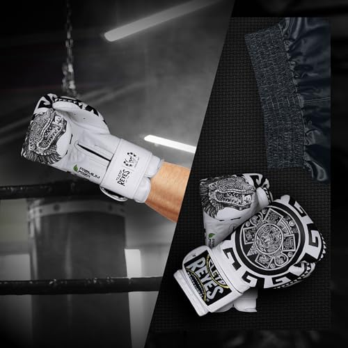 CLETO REYES Training Boxing Gloves for Men and Women with Hook and Loop Closure, Premium Synthetic Leather, MMA, Kickboxing, Muay Thai - color: Aztec Calendar White, size: 12oz.
