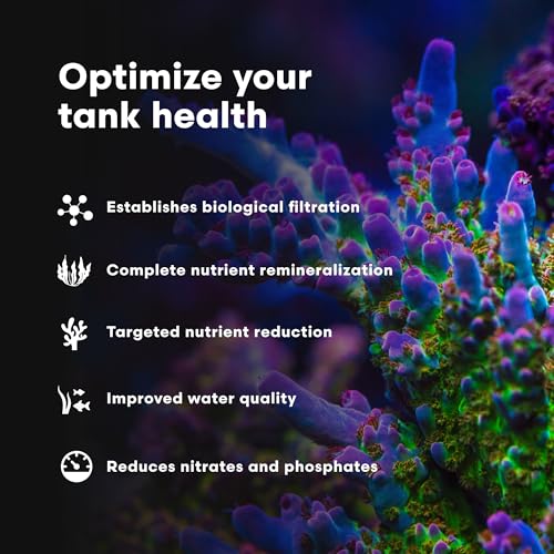 Brightwell Aquatics MicroBacter7 Biological Filter Bioculture Aid, 500 ml - size: 500ml